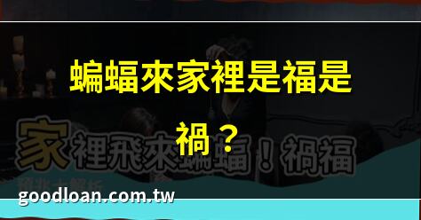 蝙蝠來家裡是福是禍？ | 蝙蝠飛進家裡風水解析 | 家裡蝙蝠代表什麼預兆？ | 蝙蝠來家裡吉凶大揭秘